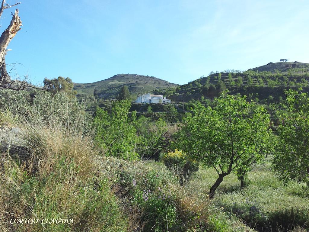 Cortijo Claudia Guest House Taberno Exterior photo